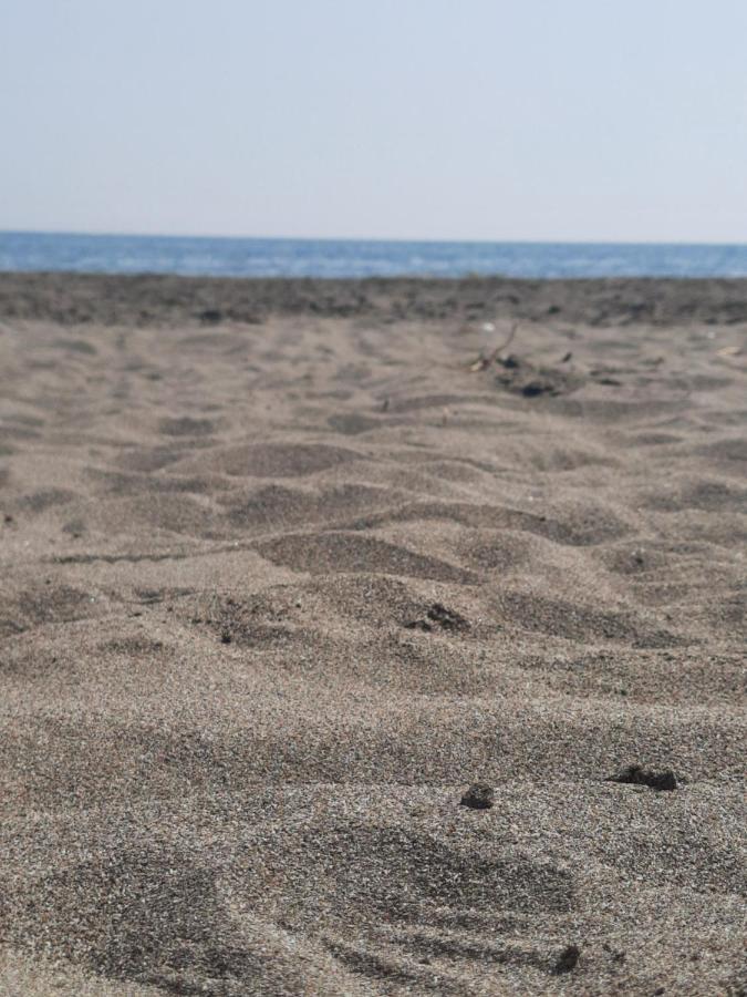Vila Pushimi Regis Velipojë Exteriér fotografie